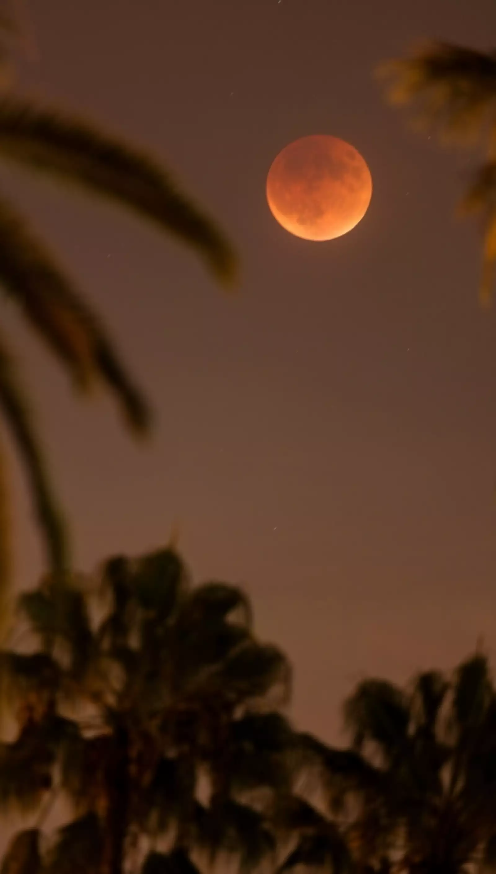 superluna de sangre gale