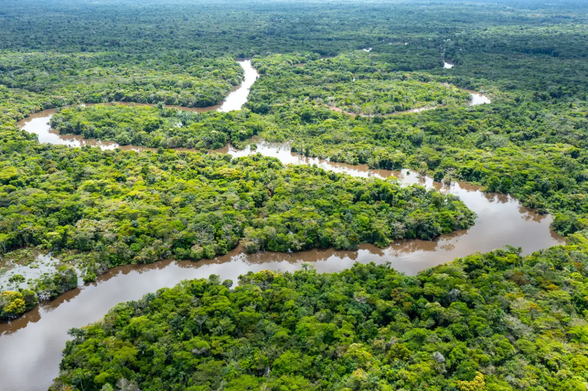 Foto aérea del río Amazonas con curvas serpenteantes.