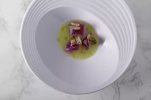 Tunas y pitahayas-lorea.jpg