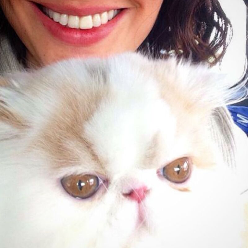 Esta tarde fue cuando la actriz compartió la lamentable noticia de la muerte de su mascota Berta, después de que le fuera reportado por la empresa veterinaria que estaba a su cuidado.