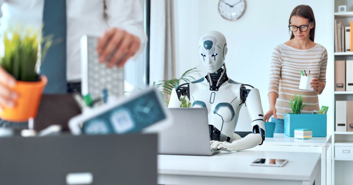 Filtra müfredatları bu şekilde ve nitelikli adayları ayırt edebilir