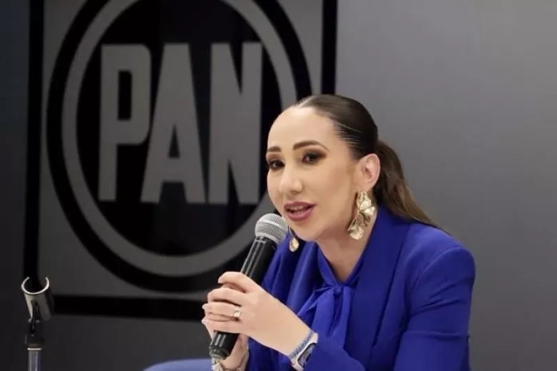 Noemí Berenice Luna Ayala, Vicecoordinadora General del Grupo Parlamentario del Partido Acción Nacional, convocó a la Sección Instructora que encabeza el morenista Hugo Éric Flores Cervantes, a demostrar que su partido no encubre a nadie. 