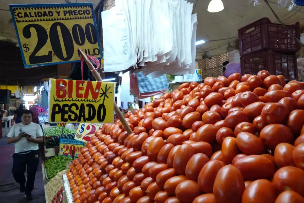 Precios jitomate