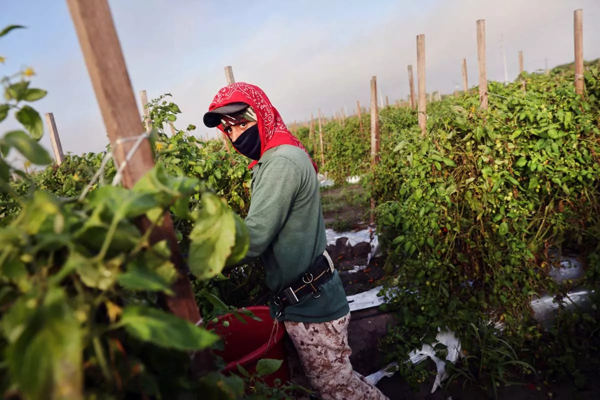 remesas-mexicoi-octubre