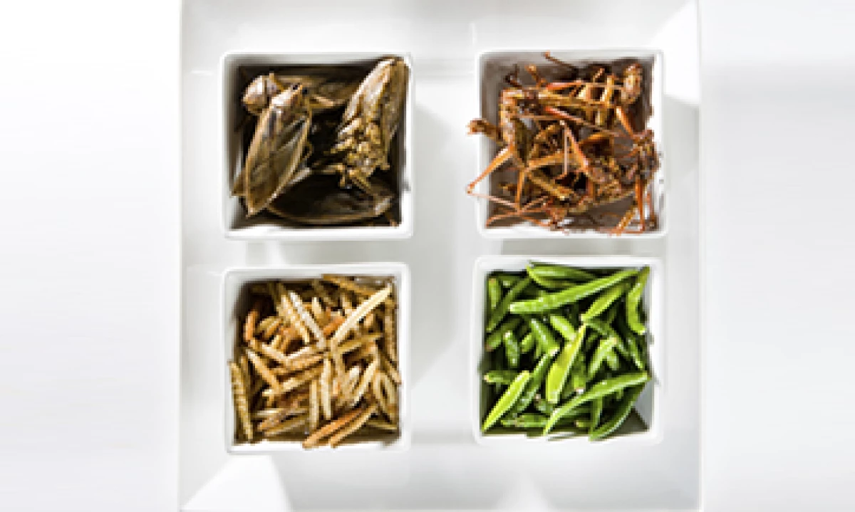 La venta de insectos comestibles se convirtió en nicho para Be-Xoo. (Foto: Getty Images )