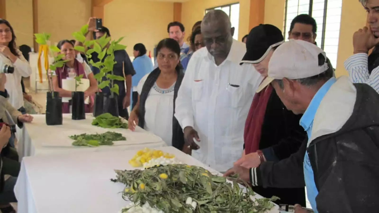 Oaxaca artesanas seda 5