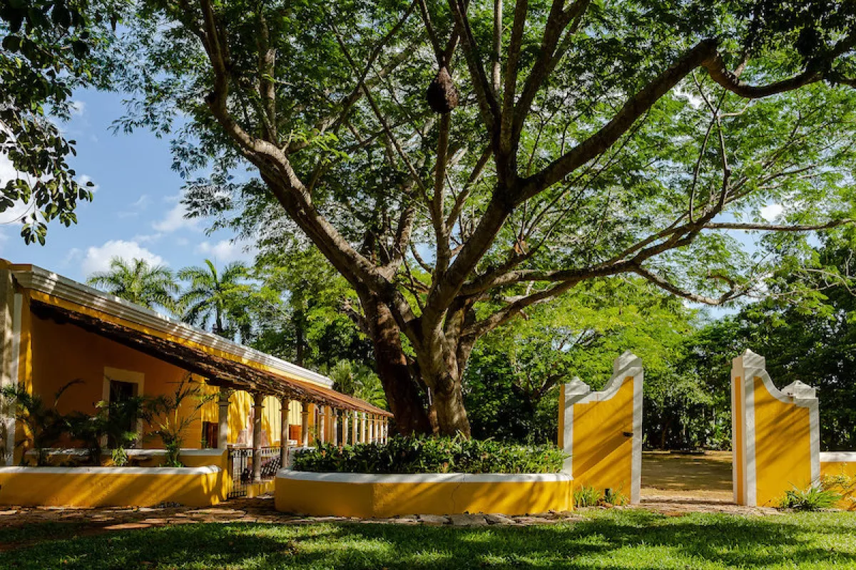 Life and Style Xcanatún 3.jpg