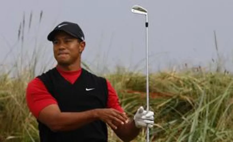 El golfista y su pareja, Elin, tienen ya una niña nacida en 2007.