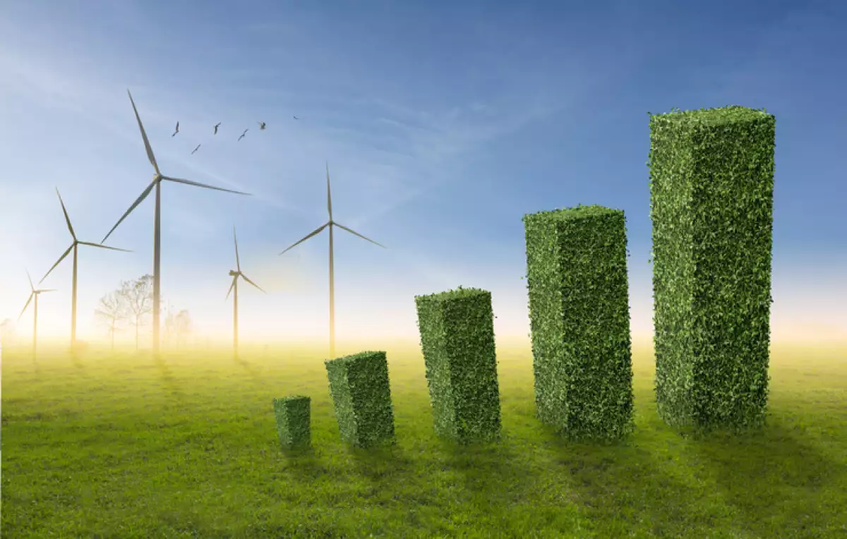 Energía Renovable