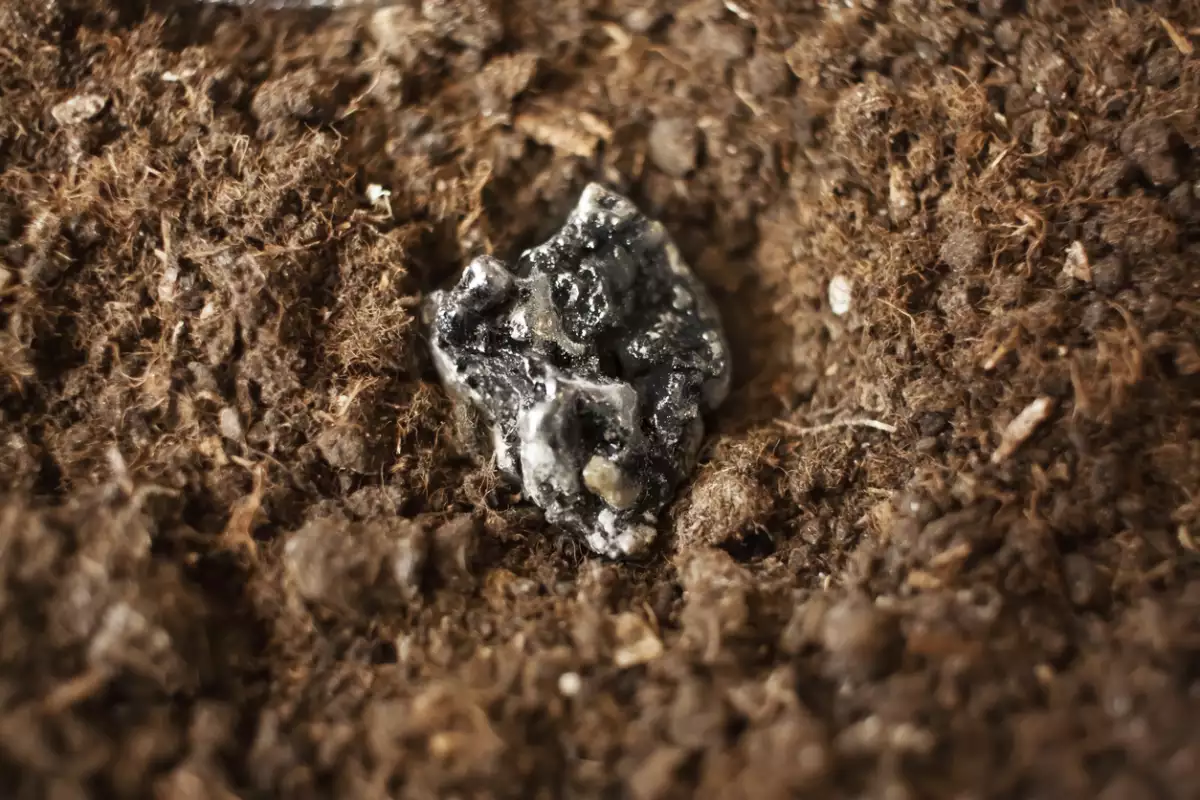 No todo es Groenlandia: los países que dominan las tierras raras en el mundo y por qué importan