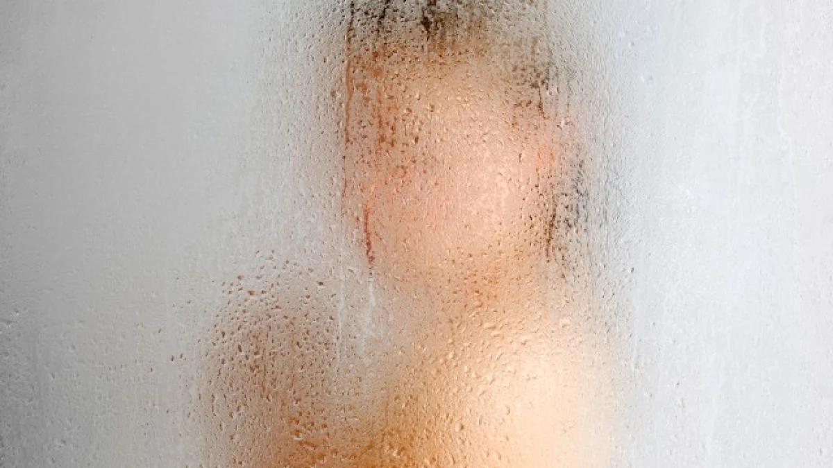 desnudo