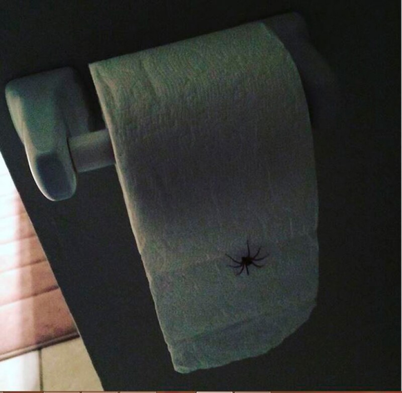 La actriz dijo que vio cumplida una de sus peores pesadillas.