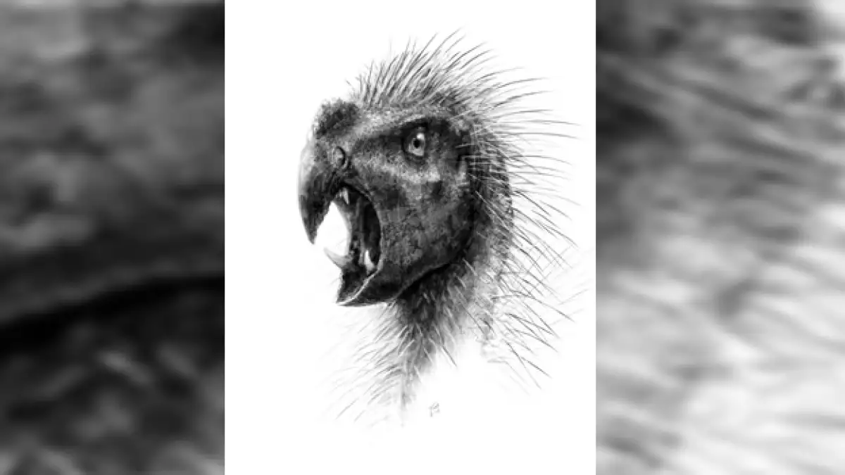 dinosaurio enano herviboro