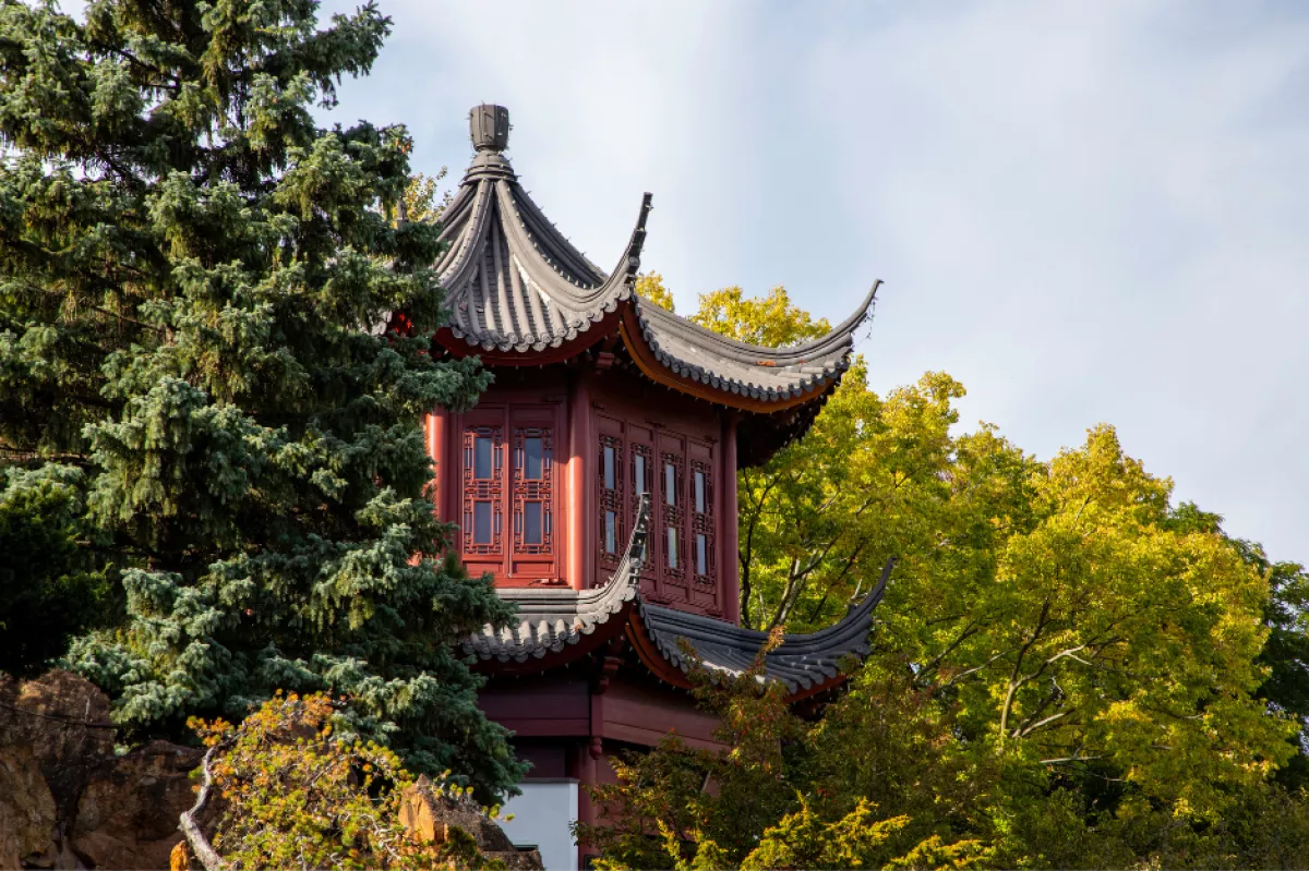 jardin botánico de montreal.png