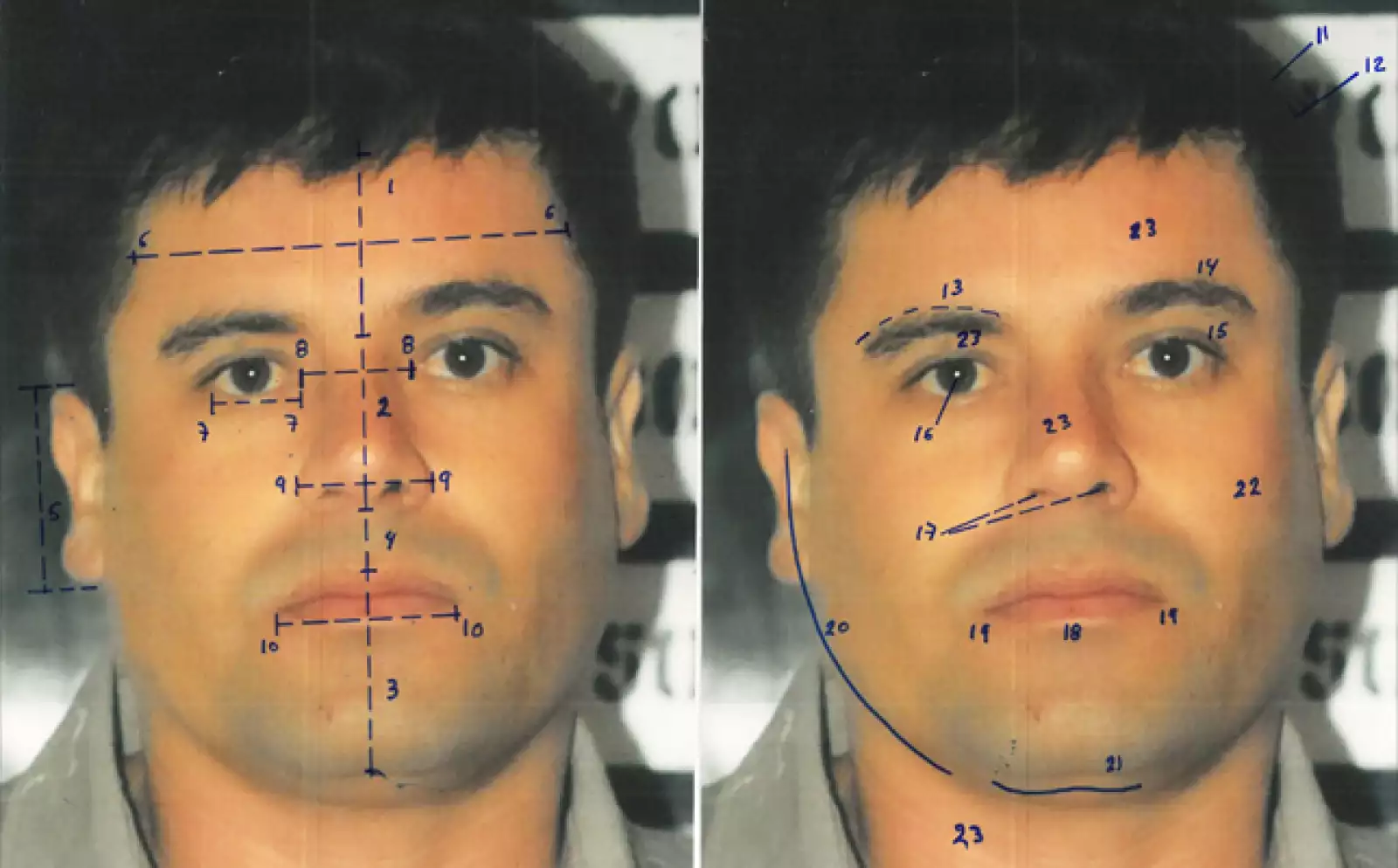 Los peritos también compararon los rasgos faciales de El Chapo a através de fotografías, y por medio de un método antropométrico comparativo de medidas, es decir,  midiendo los rasgos faciales  y comparándolos.