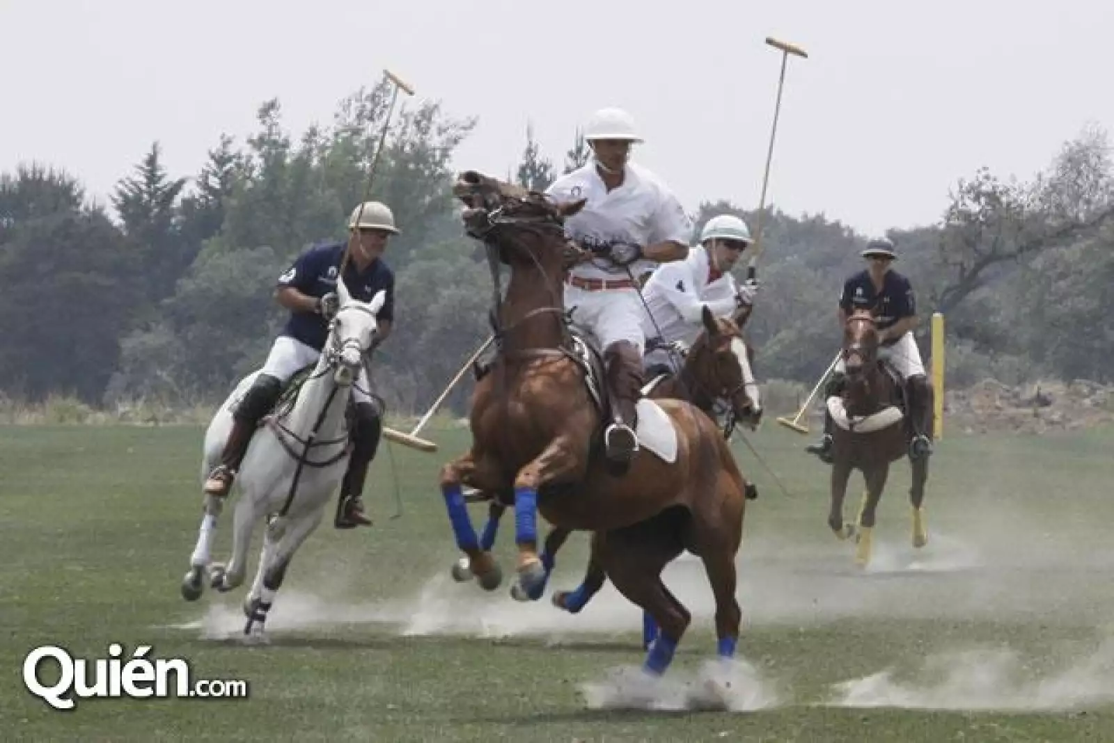 Copa de Polo Jack Daniel´s