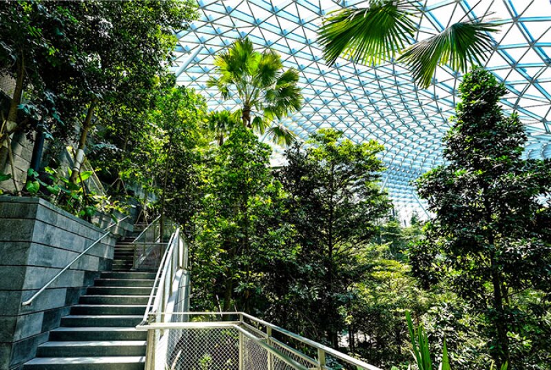 Aeropuerto - Jewel Changi.jpg