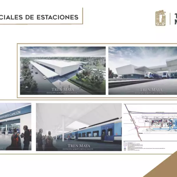 TM-16-XI-2018-(dragged)-4 - copia.jpg