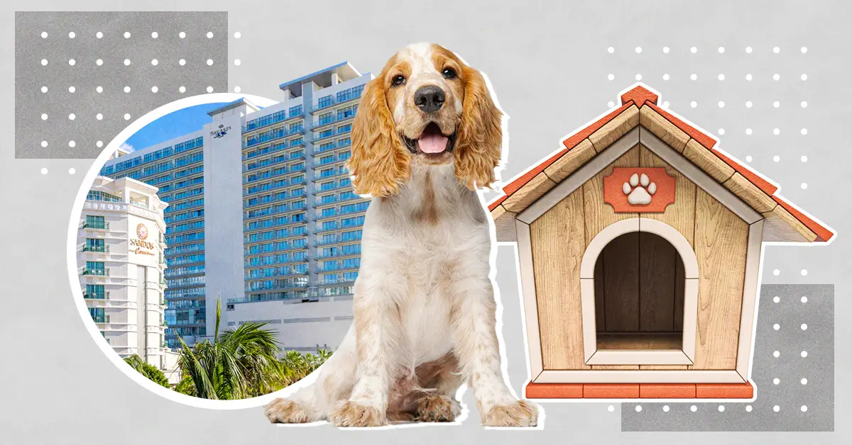 Las mascotas imponen tendencia en el desarrollo inmobiliario