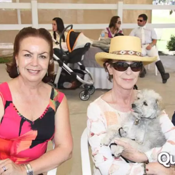 Circuito Mexicano 2010