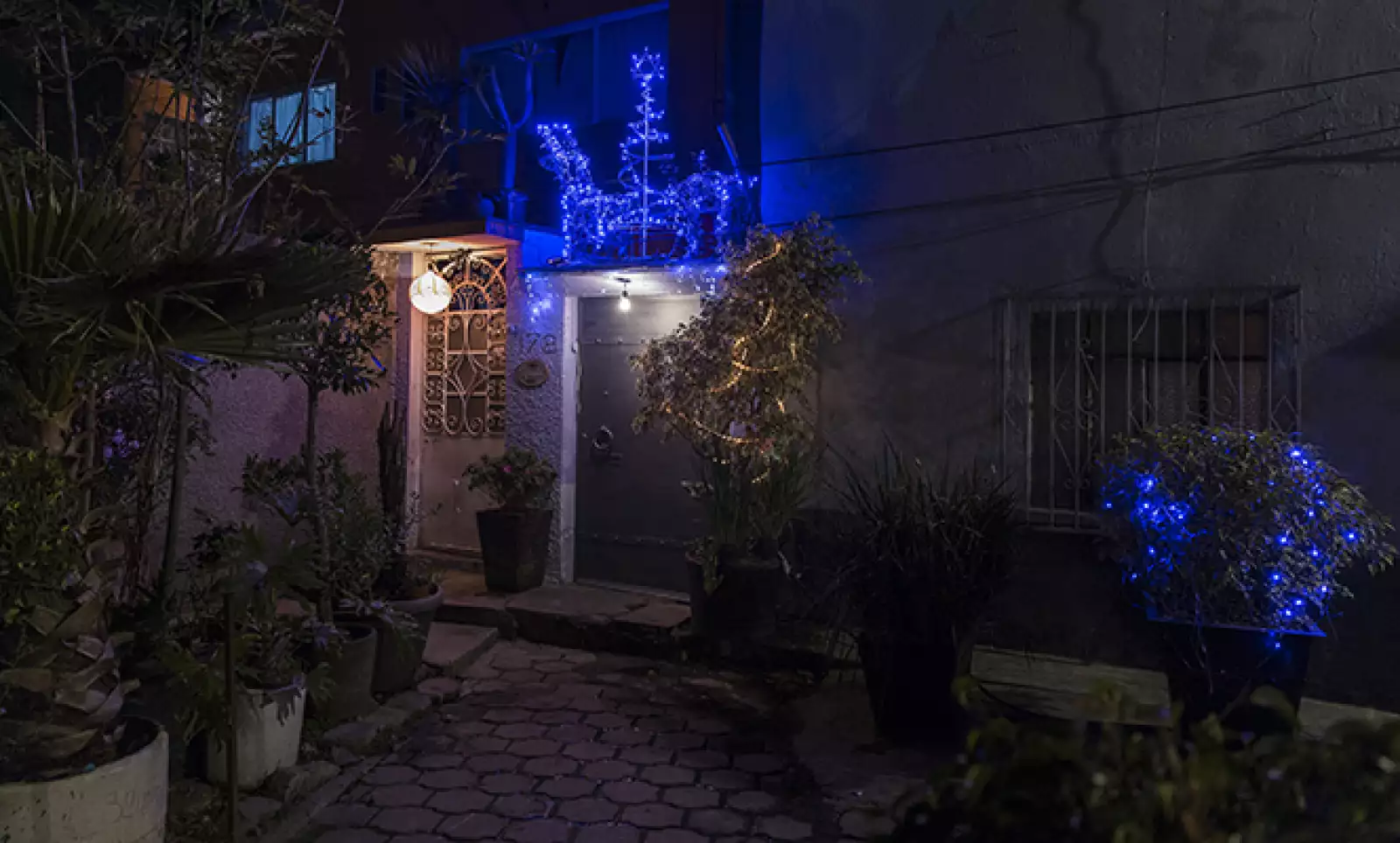 En otras zonas de la ciudad, como en Xochimilco, el espíritu navideño también se hace presente con decoraciones que incluso alcanzan las macetas afuera de las casas.