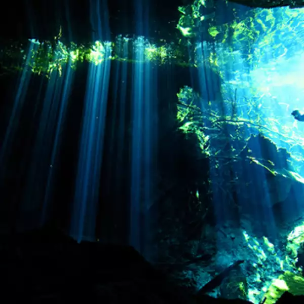 Entre varios miles de cenotes ubicados en la Península de Yucatán, Dos Ojos, en Quintana Roo, es el de mayores dimensiones.