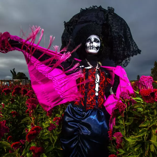Los productores de la comunidad de Doxey en Tlaxcoapan, Hidalgo se preparan para la venta de flores tradicionales para las ofrendas: cempasúchil, garra de león, girasol, nube y variedades para acompañar los altares en las festividades por Día de Muert