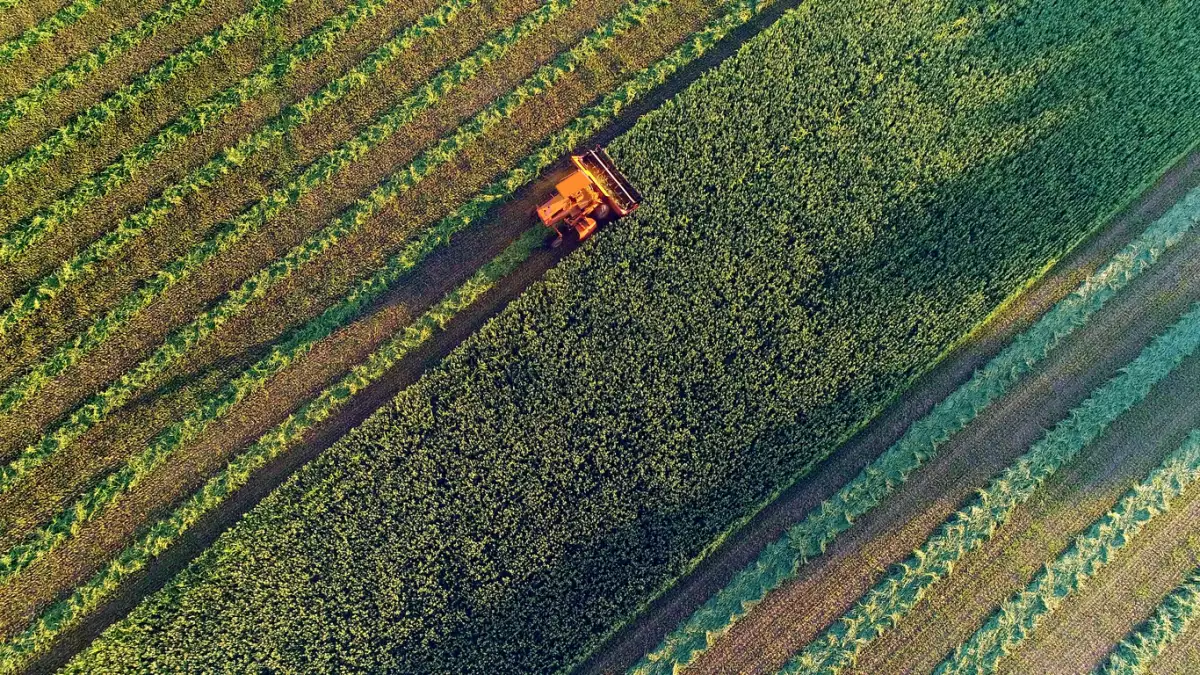 Agricultura
