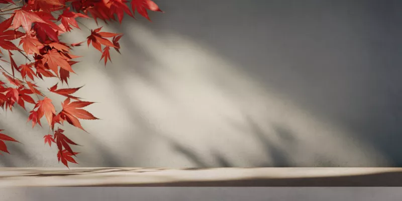 Equinoccio de otoño 2025: ¿cuándo es y a qué hora entra en México? 