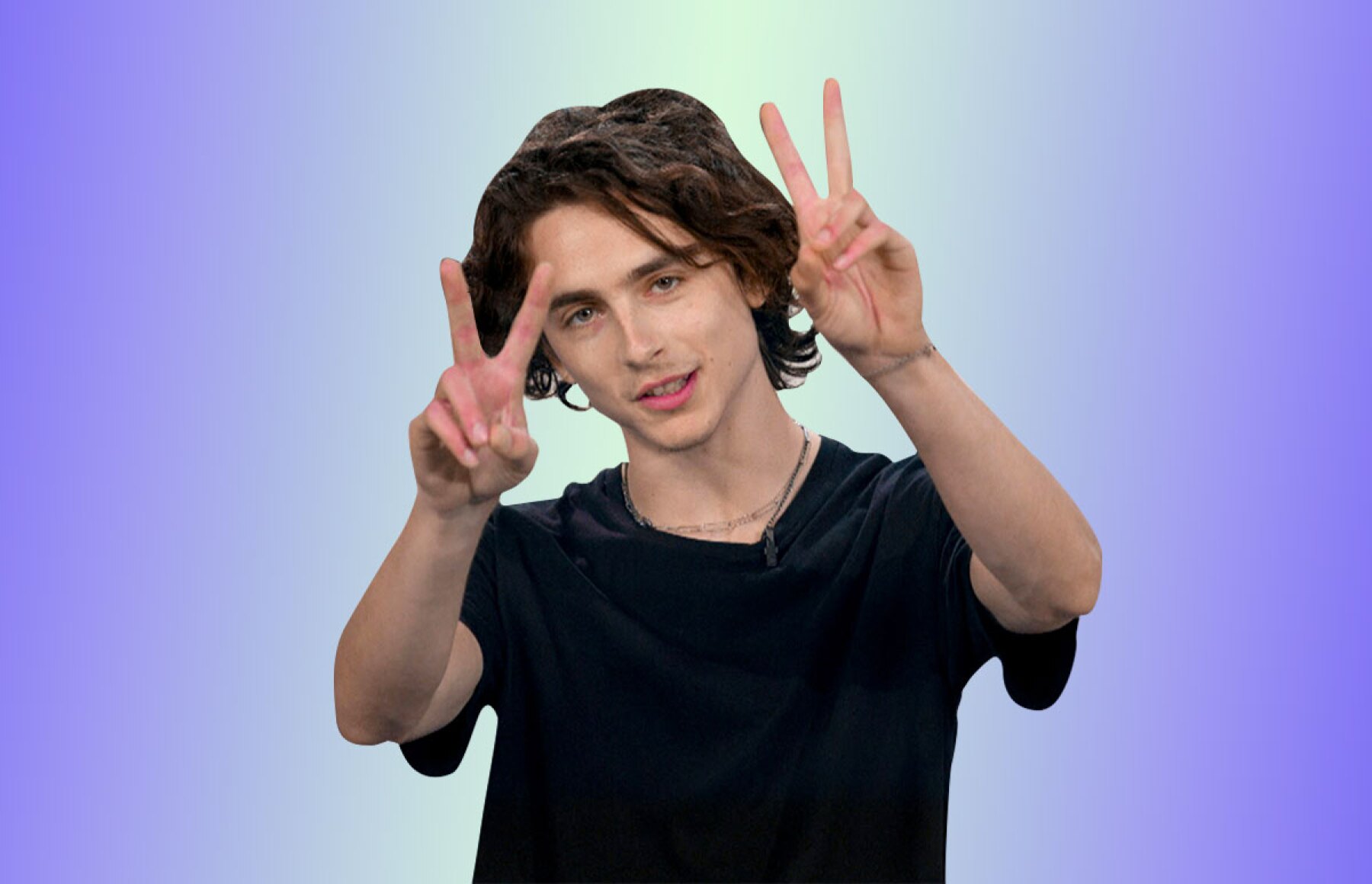 Foto: GettyImages, Timoth´é Chalamet