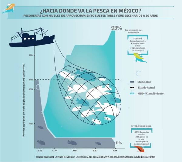 El estado de la industria.
