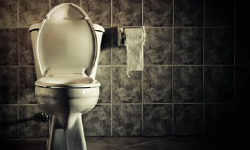 En Nueva Delhi, India, se puede visitar el Museo del Retrete Sulabh Internacional. Otro ejemplo es el Mr. Toilet House, en Corea del Sur. (Foto: Getty Images)