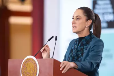 sheinbaum 31 mil desaparecidos.jpeg