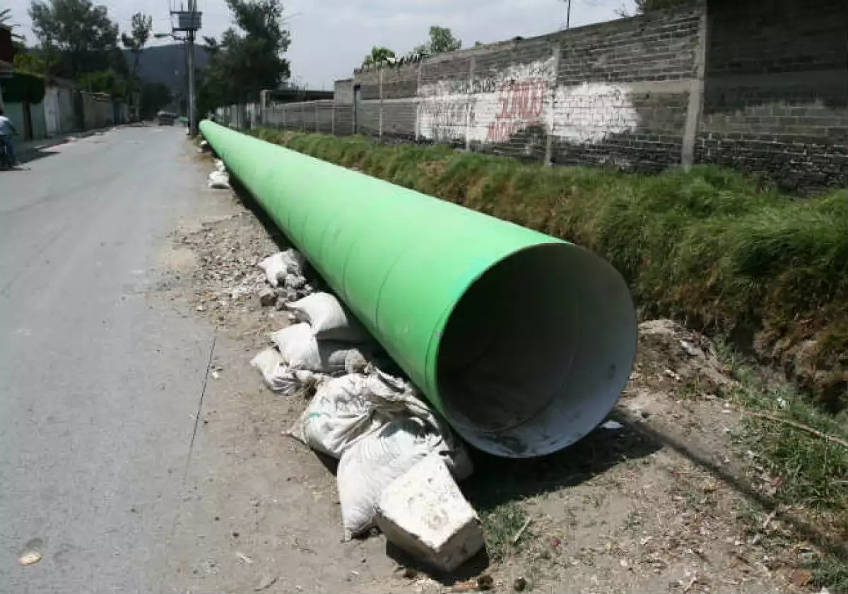 Colector