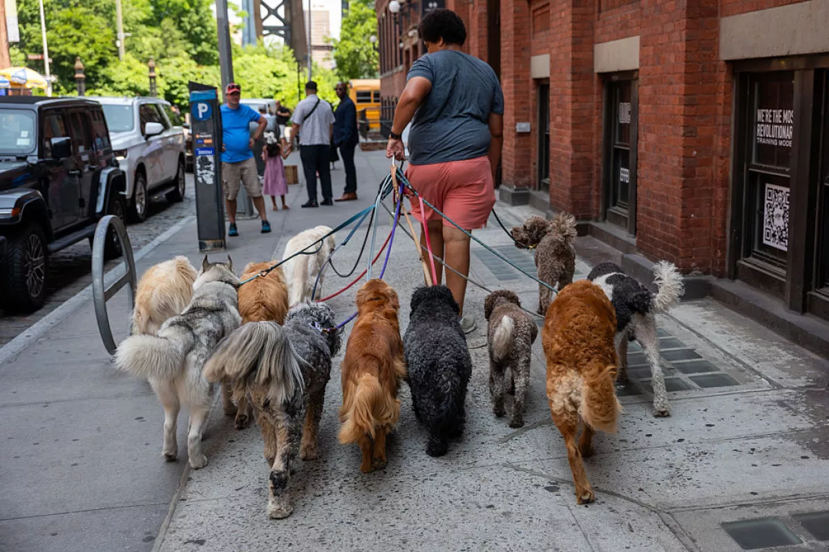 dia mundial del perro en mexico