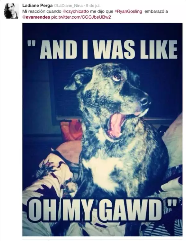 Las reacciones incluyen memes y graciosas imágenes de sorpresa.