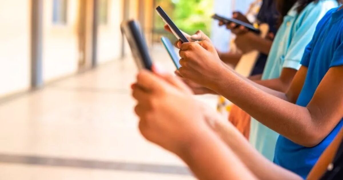 Hangi ülkeler halihazırda küçüklerin cep telefonu ve sosyal ağ kullanımını yasakladı? Fransa listeye katıldı