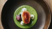 Platillo de pujol