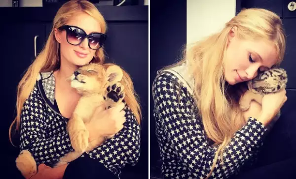 Paris tuvo la oportunidad de convivir con los animales de la fundación, se divirtió especialmente con los cachorros.