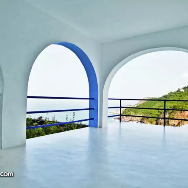 Dolores Olmedo mandó a pintar de blanco las paredes de la casa,para apreciar mejor la obra de Diego Rivera.