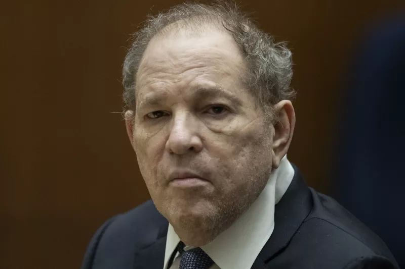 Harvey Weinstein Court Hearing - Los Angeles, CA