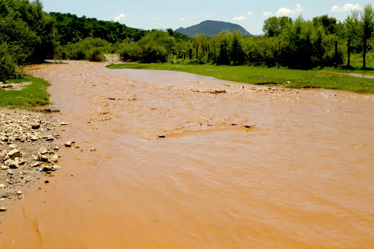 Desastre ecológico