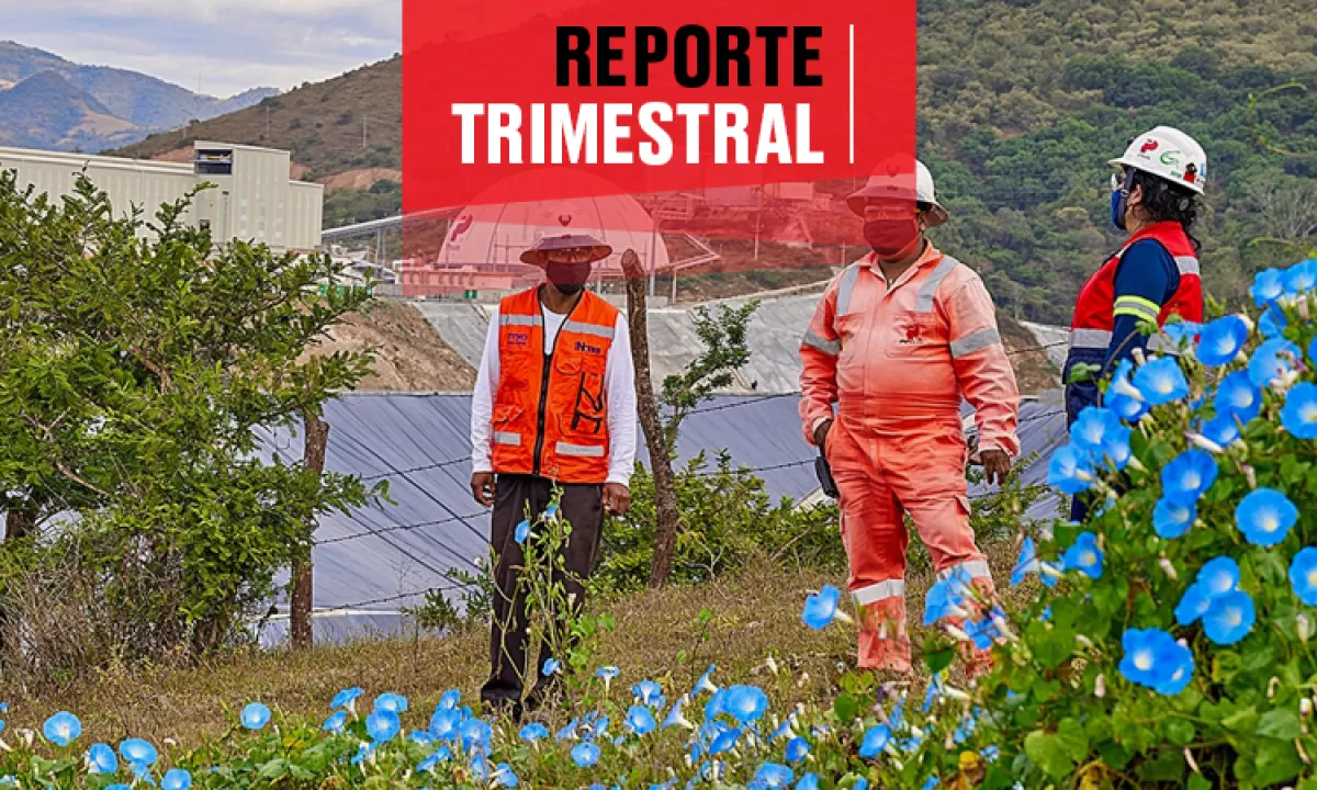 Reporte trimestral Peñoles