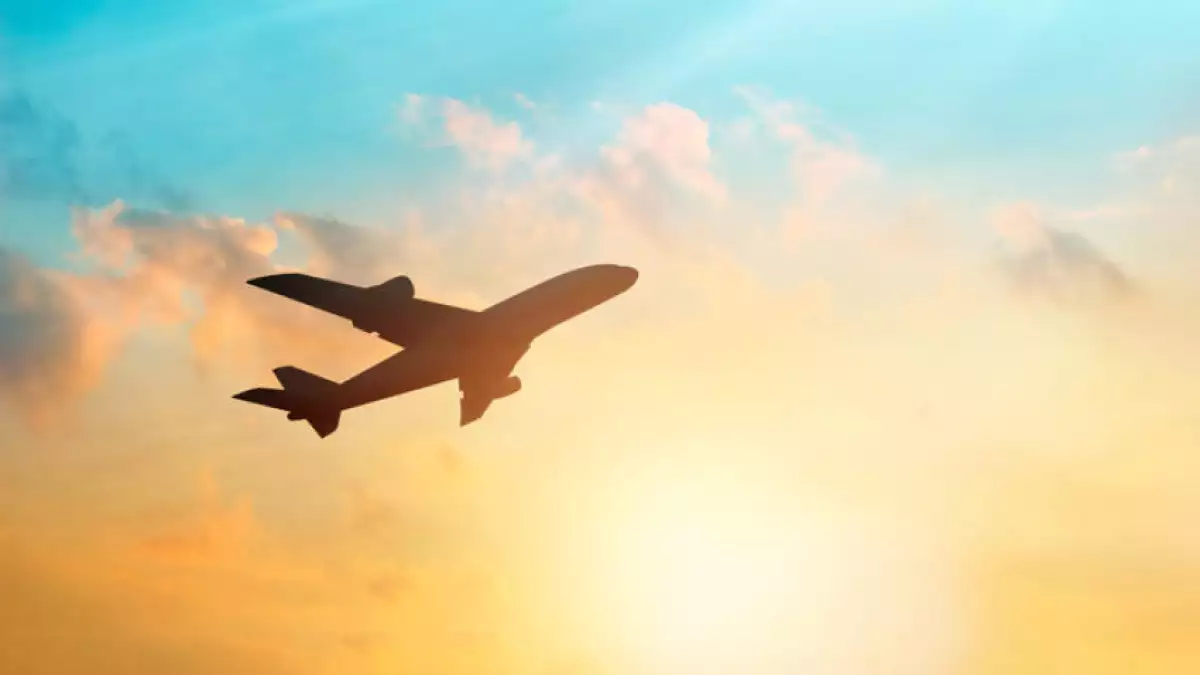 Retoma el vuelo