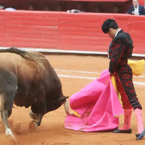 Corrida 16 Temporada Grande 
