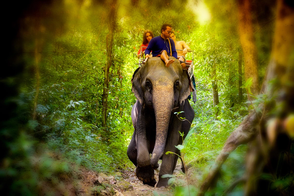 Tailandia