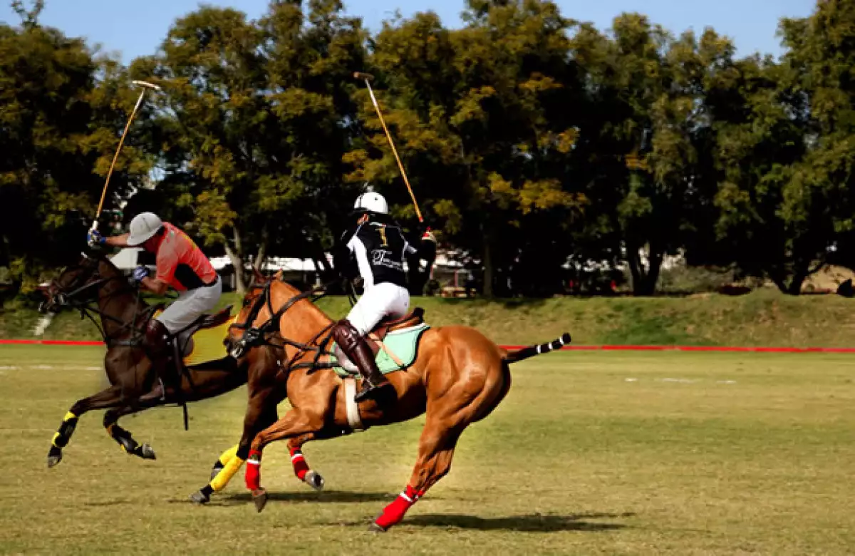 La tierra tapatía fue testigo de la primera liga de polo en México con un fin de semana lleno de actividades y sobretodo, de mucho deporte.