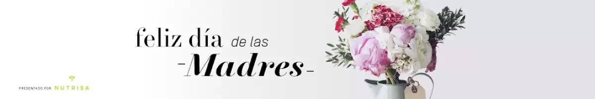 feliz dia de las madres desktop header.png
