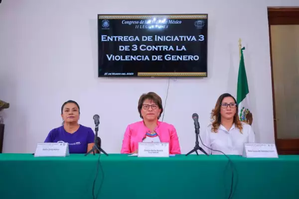 Ley-3-de-3-violencia