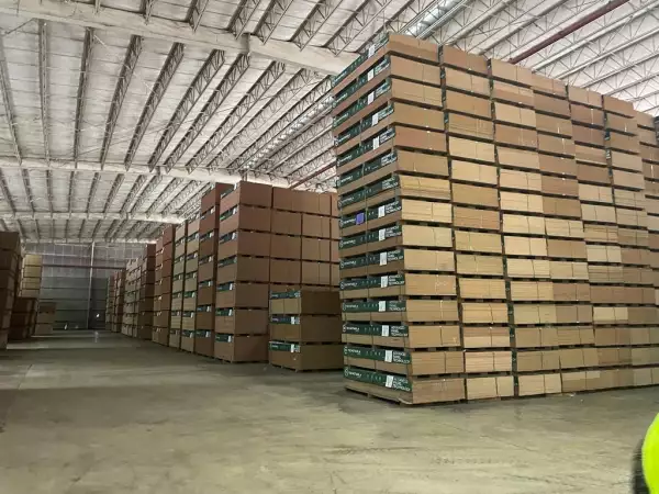 MDF de eucalipto